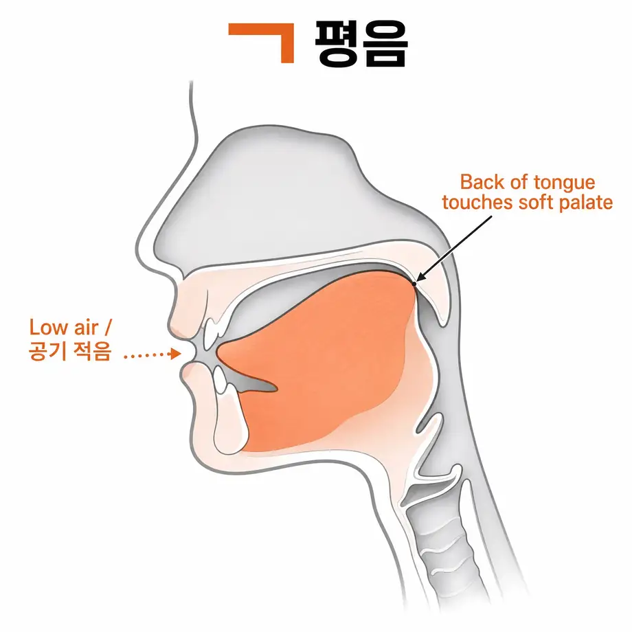 ㄱ 평음 혀 위치 다이어그램